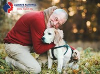 Always Faithful Dog & Puppy Training Pittsburgh PA Pittsburgh Pennsylvania Logo 
