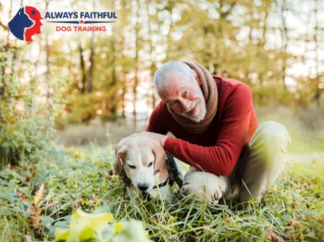 Always Faithful Dog & Puppy Training Atlanta GA