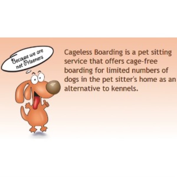 Cageless Pet Home Boarding In Coral Gables, Fl