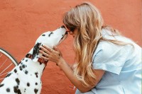 HB Pet Grooming Huntington Beach California Logo 