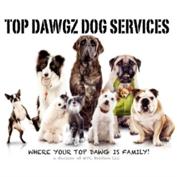 Top Dawgz  Dog Services