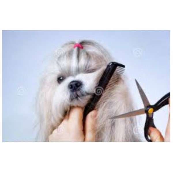 Back Porch Pet Salon