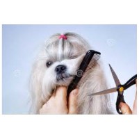 Back Porch Pet Salon Mapleton Utah Logo 