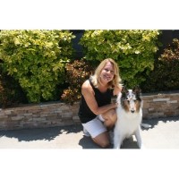 Contented K9 Encinitas California Logo 