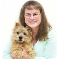 Canine Connection Saratoga Springs Utah Logo 