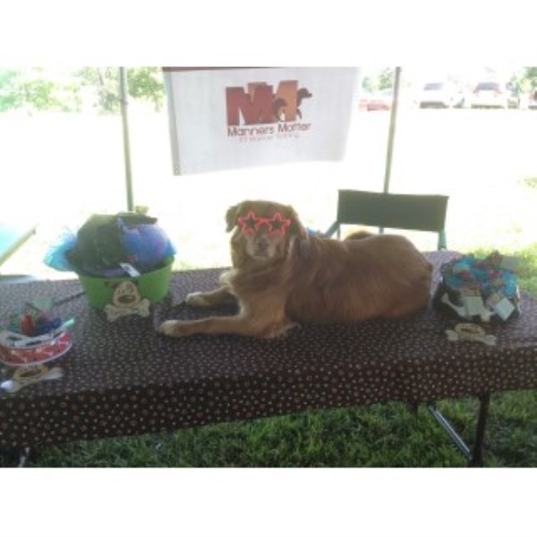 Manners Matter - Dog Obedience Training