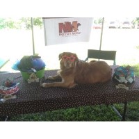 Manners Matter - Dog Obedience Training Lexington Kentucky Logo 