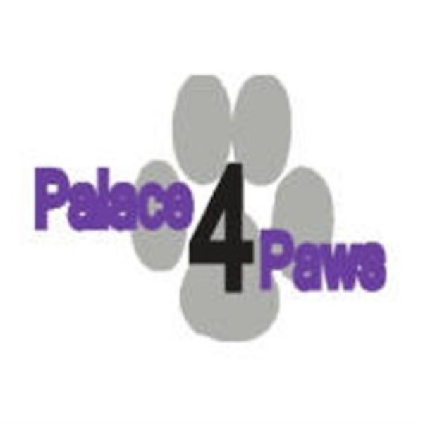 Palace 4 Paws Llc
