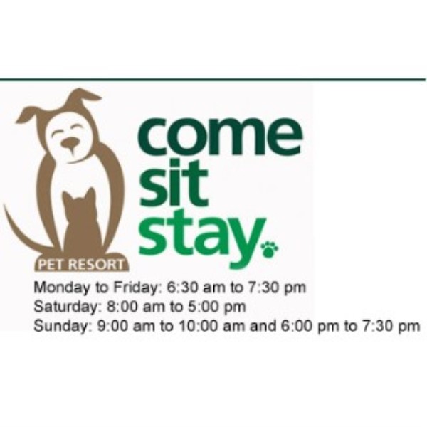 Come Sit Stay Pet Resort