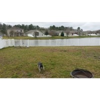 Rover.com Hudson Florida Logo 