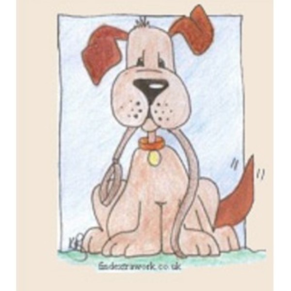 Chester Springs Pet Sitting And Walking