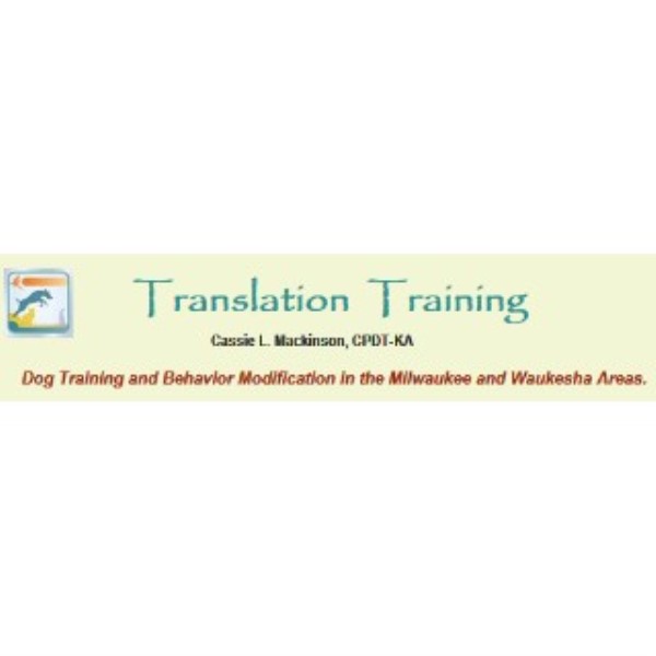Translation Training