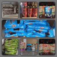 Abby Springs boarding ,  doggy daycare Chicago Illinois Logo 