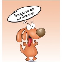 Pet Sitting, Dog Boarding In Pembroke Pines, Weston Fl Hollywood Florida Logo 