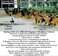 Lehigh German Shepherd Dog Club Training Classes Allentown Pennsylvania Logo 