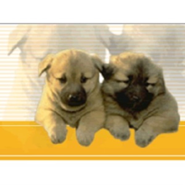 Going Rate For Dog House Sitting Going Rate For Dog House Sitting