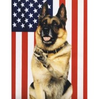 Sirius K9 Academy Yorba Linda California Logo 