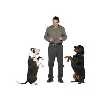 Viking K-9 Services Chaska Minnesota Logo 