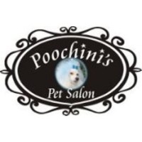 Poochini's Pet Grooming Clinton Tennessee Logo 