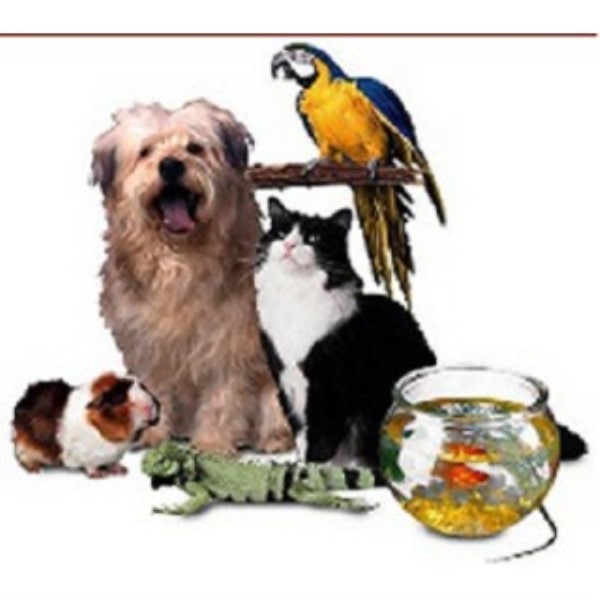 Durydogs Pet Sitting