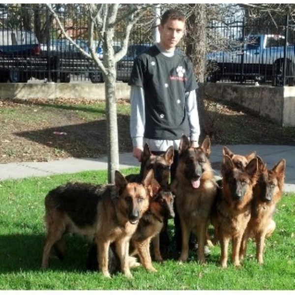 The Good Shepherd Dog Training