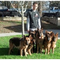 The Good Shepherd Dog Training Hyannis Massachusetts Logo 