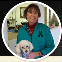 Classic Dog Grooming, Llc Niantic Connecticut Logo 