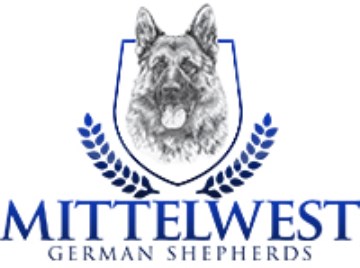 Mittelwest German Shepherds