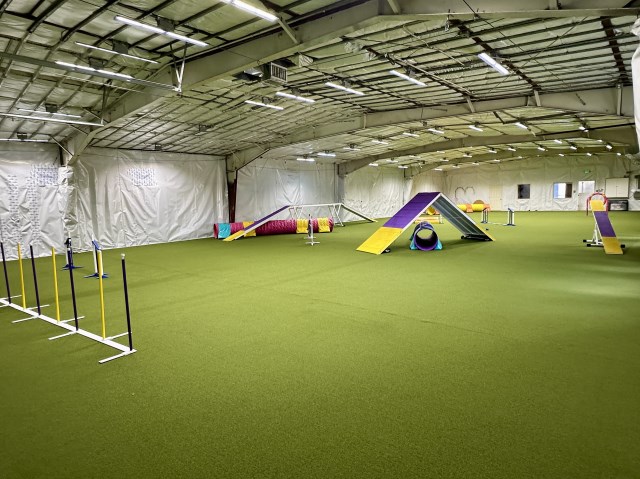 Canine Athletics Training Center