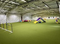 Canine Athletics Training Center Longmont Colorado Logo 