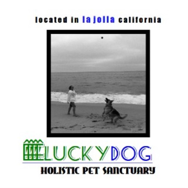 Luckydog Holistic Pet Sanctury