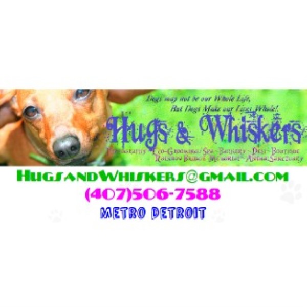Hugs & Whiskers Exclusive Pet Photography & Grooming