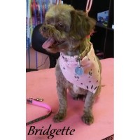 Pretty Paws Pet Grooming Las Vegas Nevada Logo 