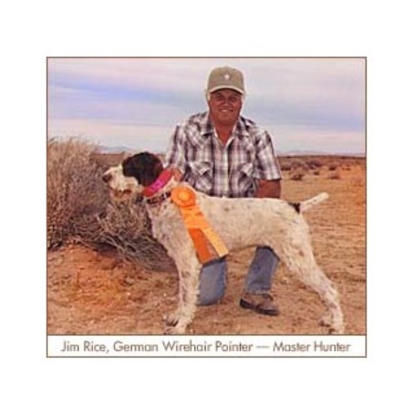 Jim's Bird Dog Training