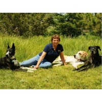 Pawswise Dog Training Livermore Colorado Logo 