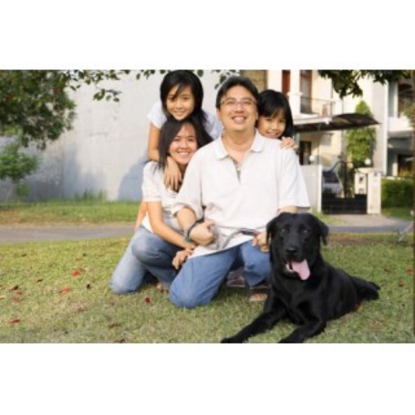 Woody's Best Poop Scoop Service Yorba Linda, California 92886 4346