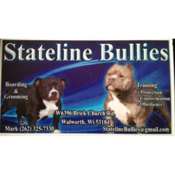 Stateline Bullies