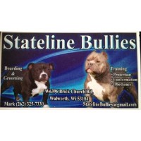 Stateline Bullies Walworth Wisconsin Logo 
