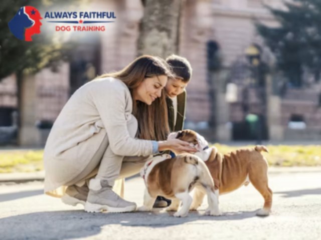 Always Faithful Dog & Puppy Training Memphis TN
