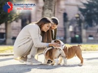 Always Faithful Dog & Puppy Training Memphis TN Memphis Tennessee Logo 