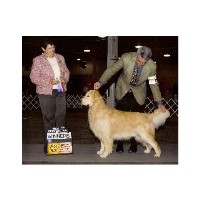 The Royal Dog Haverhill Massachusetts Logo 