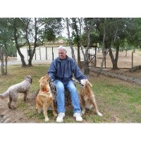 Creature Comforts Dog Boarding Mariposa California Logo 