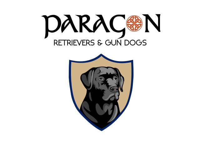 Paragon Retrievers & Gun Dogs