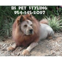 B's Pet Styling Pompano Beach Florida Logo 