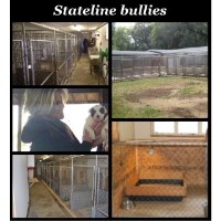 Stateline Bullies Leake Geneva Wisconsin Logo 