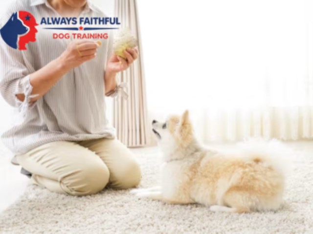 Always Faithful Dog Training of Southeast Arizona