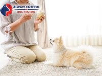 Always Faithful Dog Training of Southeast Arizona Sierra Vista Arizona Logo 