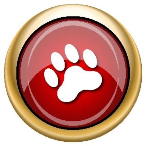 Las Cruces Pet Services Las Cruces, New Mexico 88012