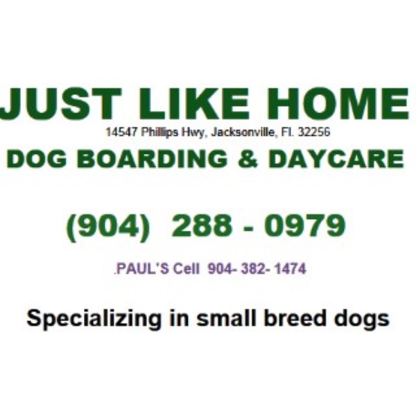Just Like Home Dog Boarding & Daycare