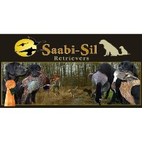 Saabi-Sil Retrievers Dallas Pennsylvania Logo 